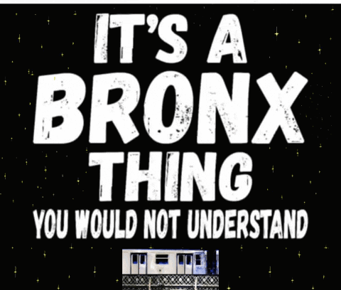 It's A Bronx Thing You Would Not Understand GIF