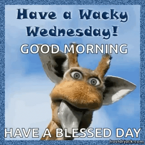 It's A Glorious Wednesday Good Morning GIF