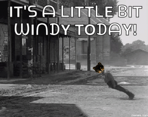 It's a Little Bit Windy Today