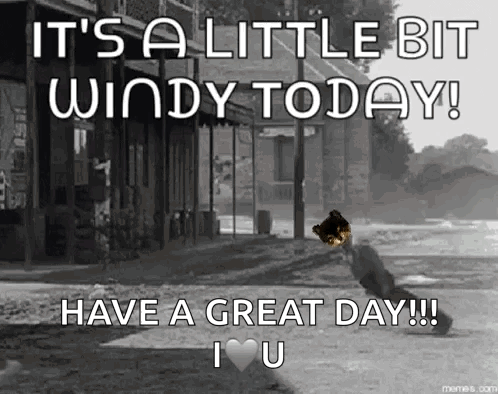 It's a Little Bit Windy Today Have a Great Day I Love You
