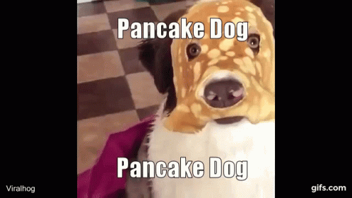 It's A Pancake Dog GIF