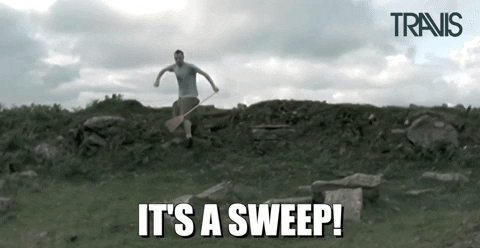 It's A Sweep Sweeping GIF