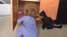 It's A Trap By The Cat GIF