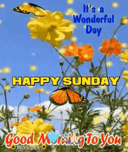 It 'S A Wonderful Day Happy Sunday Good Morning & Greeting To You GIF