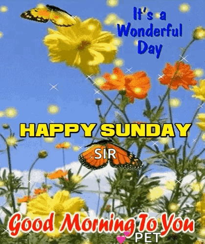 Wonderful Day Happy Sunday Morning GIF