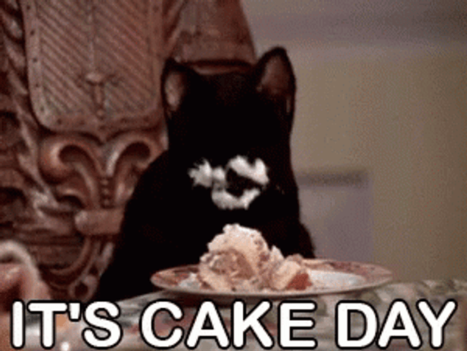 It's Cake Day Cat Eating Cake GIF