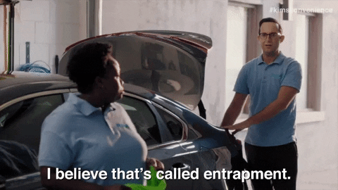 It's Called Entrapment Jorts GIF