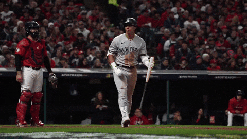 It's Crazy Yankees Win GIF