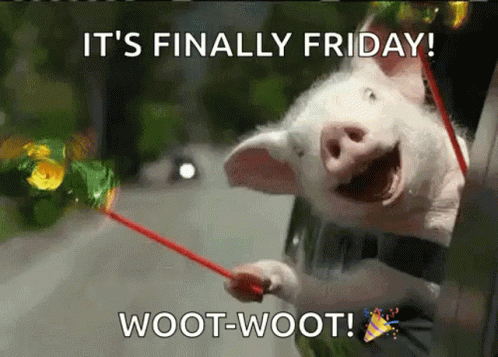 It's Finally Friday Happy Pig Weekend Meme GIF