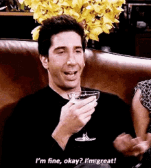 It's Fine I'm Great Ross Geller GIF