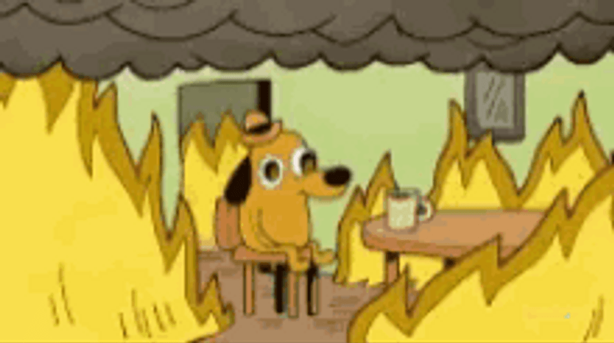 It's Fine This Is Fine Dog Sipping Coffee GIF