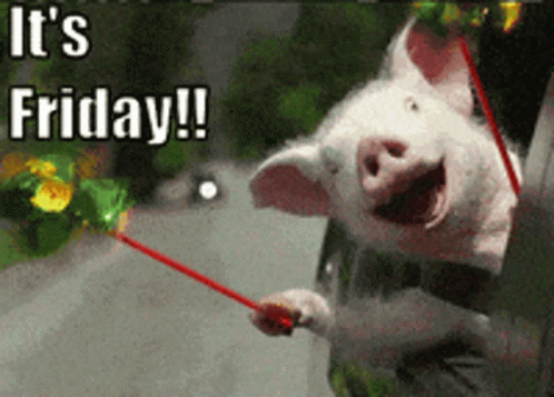 It's Friday Piggy Joy Ride GIF