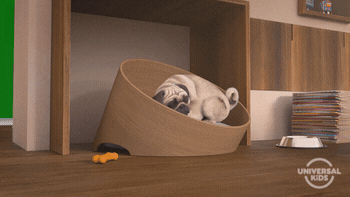 It's Friday Funny Pug Happy Reaction GIF