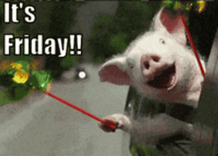 It's Friday Piggy Joy Ride GIF