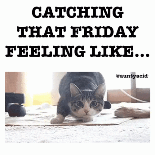 It's Friday Shaquille O'Neal GIF