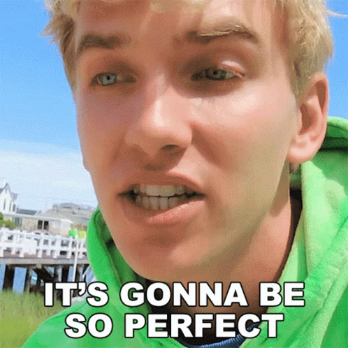 It's Gonna Be So Perfect Stephen Sharer GIF