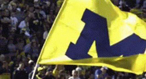 It's Great To Be A Michigan Wolverines GIF