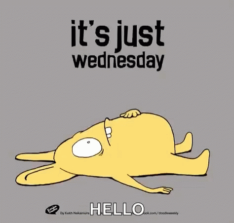 It's Just A Hilarious Wednesday GIF