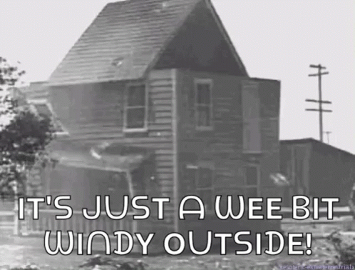It's Just A Wee Bit Windy Outside GIF