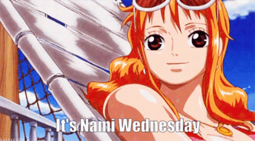 It's Nami Wednesday One Piece GIF