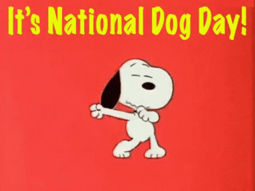 It's National Happy Dog Day GIF
