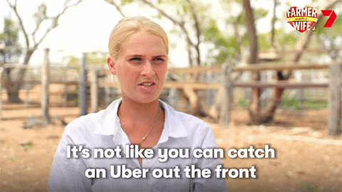 It's Not Like You Can Catch An Uber Out The Front GIF