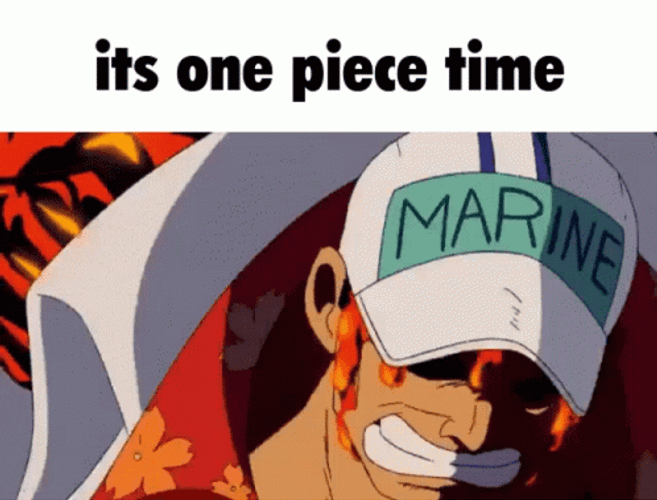 It's One Piece Time Ace GIF