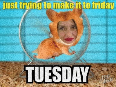 It's Only Tuesday Just Trying To Make GIF