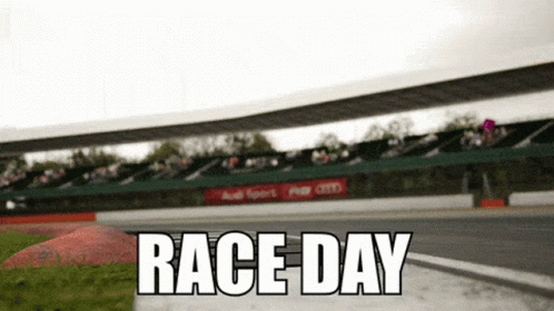 It's Race Car Day GIF