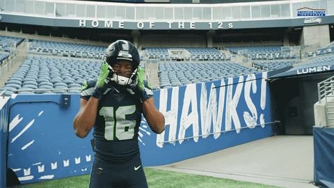 It's Seattle Seahawks Day GIF