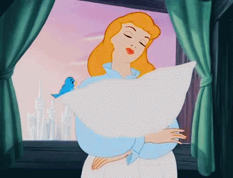 It's So Fluffy Cinderella Hugging Her Pillow GIF