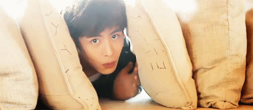 It's So Fluffy Hiding On Pillows GIF