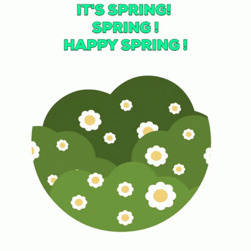 It's Spring Spring Happy Spring GIF