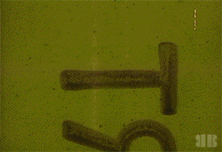 It's The Final 1960's Vintage Countdown GIF