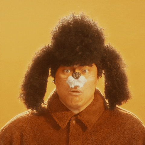 It's The Final Christmas Countdown Dog Hat GIF