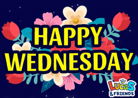 It's Wednesday Good Morning Everyone GIF