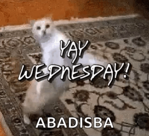 It's Wednesday Good Morning Stay Inspired GIF