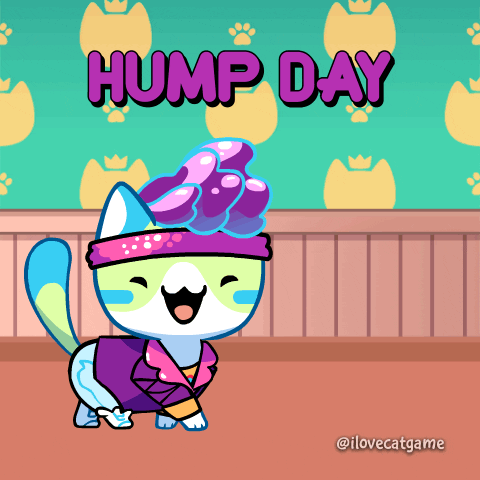 It's Wednesday Good Morning To You GIF