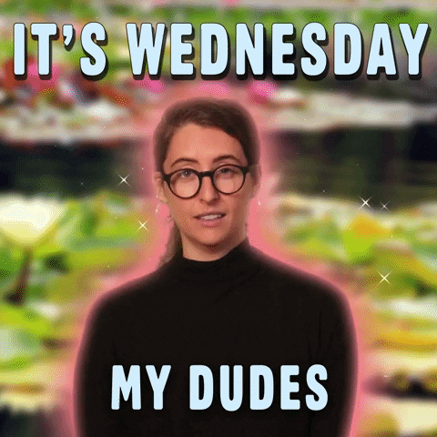 It's Wednesday My Dudes Wonderful Wednesday GIF