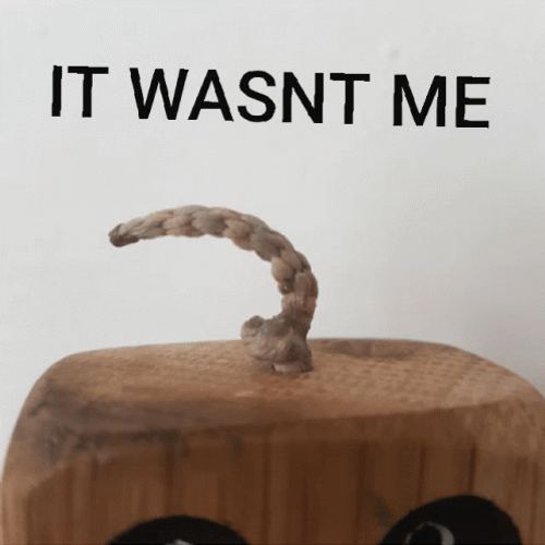 It Wasnt Me Woody Robot GIF