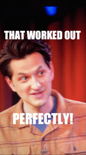 It Worked Perfectly GIF