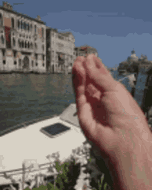 Italian Hand Gesture On A River GIF