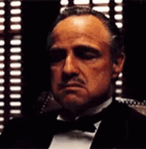 Italian Marlon Brando The Godfather GIF