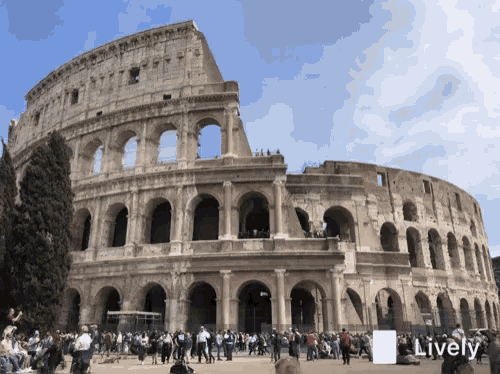 Italy Arena Gif GIF