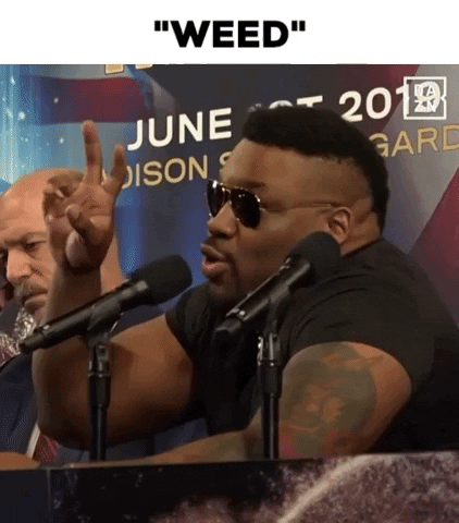 Its A Man Baby In An Interview GIF