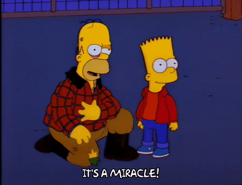 Its A Miracle Homer And Bart Simpsons GIF