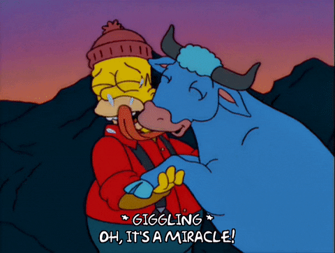 Its A Miracle Homer Simpson And Babe Ox GIF