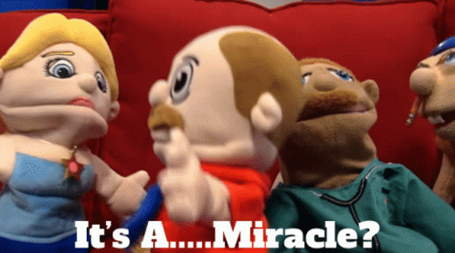 Its A Miracle Super Mario Logan Puppets GIF