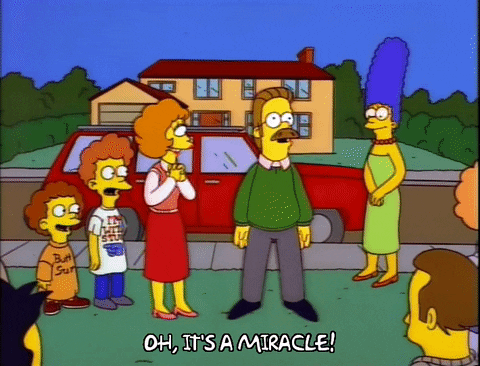 Its A Miracle The Simpsons Ned Flanders GIF