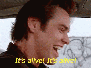 Its Alive Excited Jim Carrey GIF